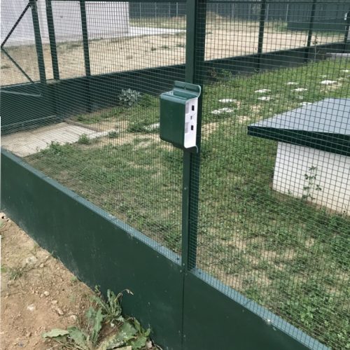 IMG_8845-e1530179233375-500x500