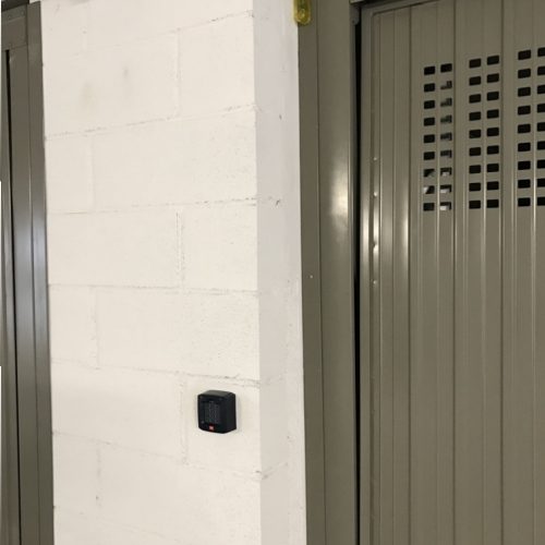 IMG_7248-e1530172375507-500x500