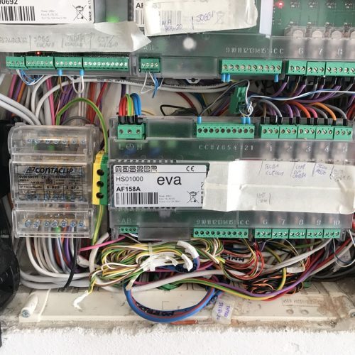 IMG_7941-e1530172170233-500x500